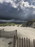 IMG_8422