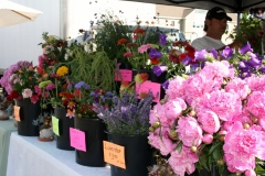 2014 Farmers Market