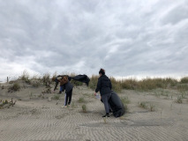 beachclean4