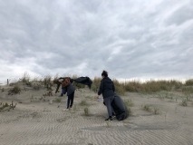 beachclean4