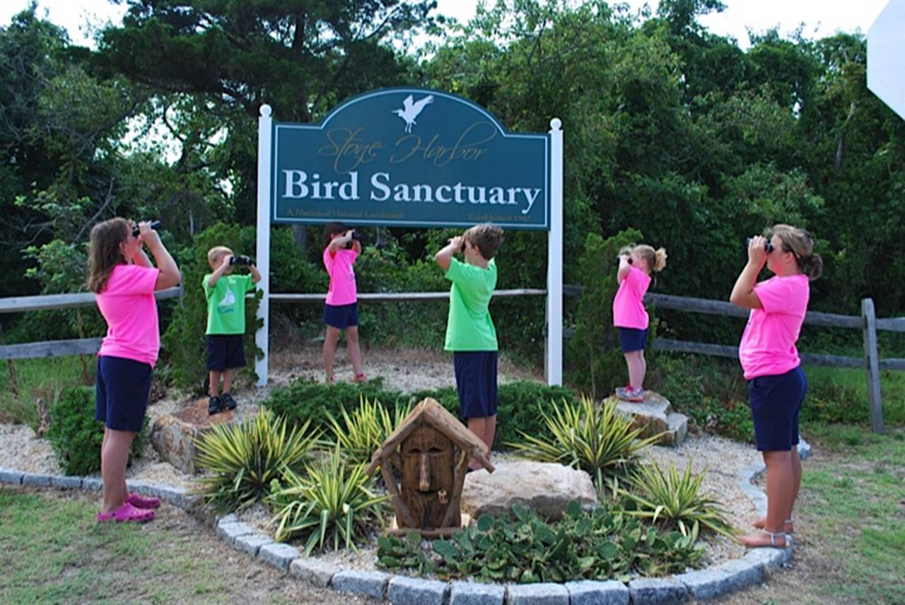 Clue 7 Bird Sanctuary